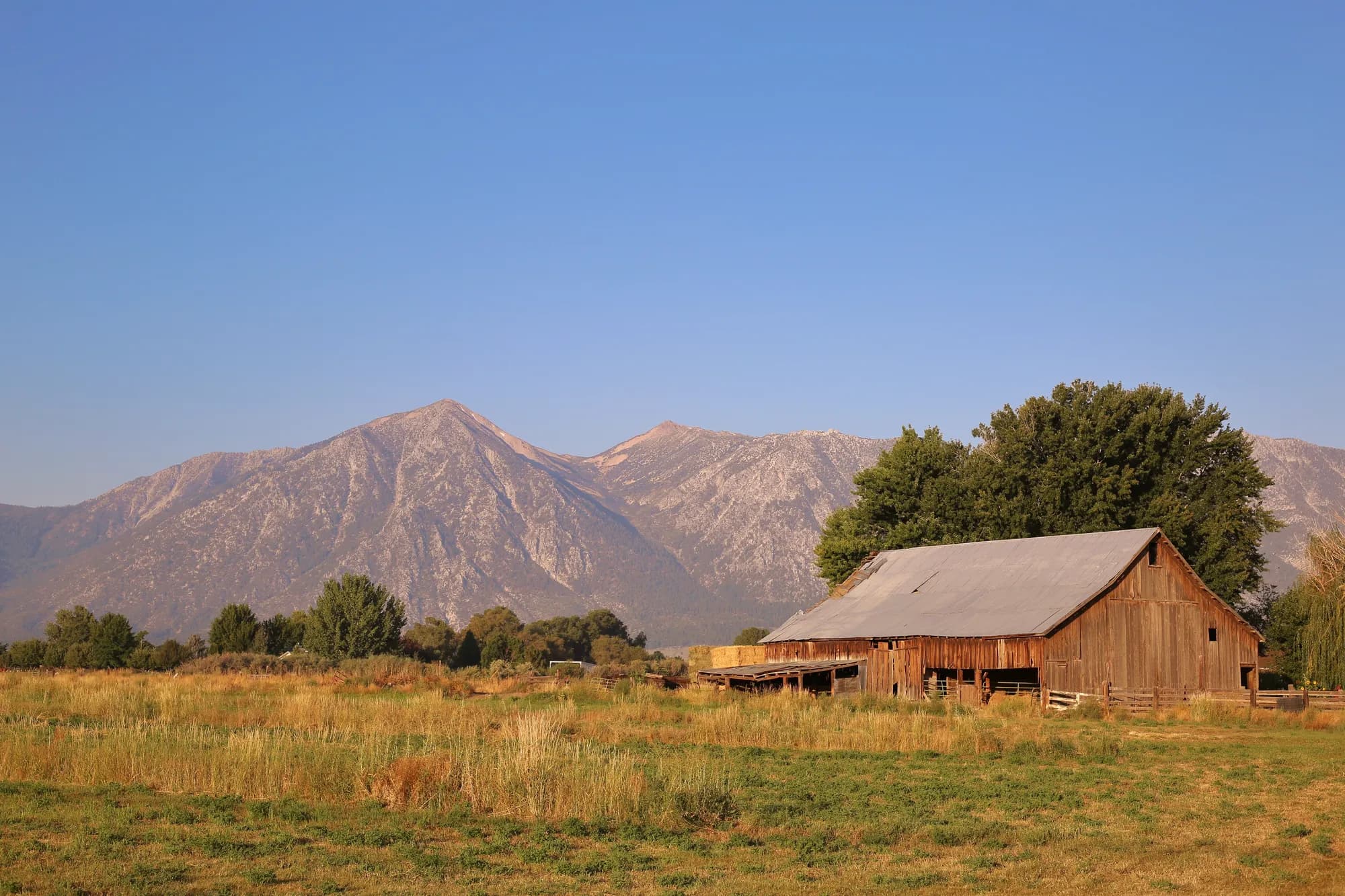 A weathered barn in a Carson Valley meadow below the Carson Range