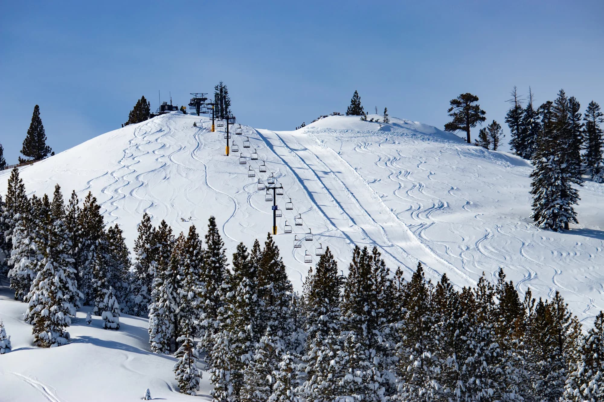 A chairlift climbing a fresh-tracked powder slope at Mt. Rose, framed by snowy pines