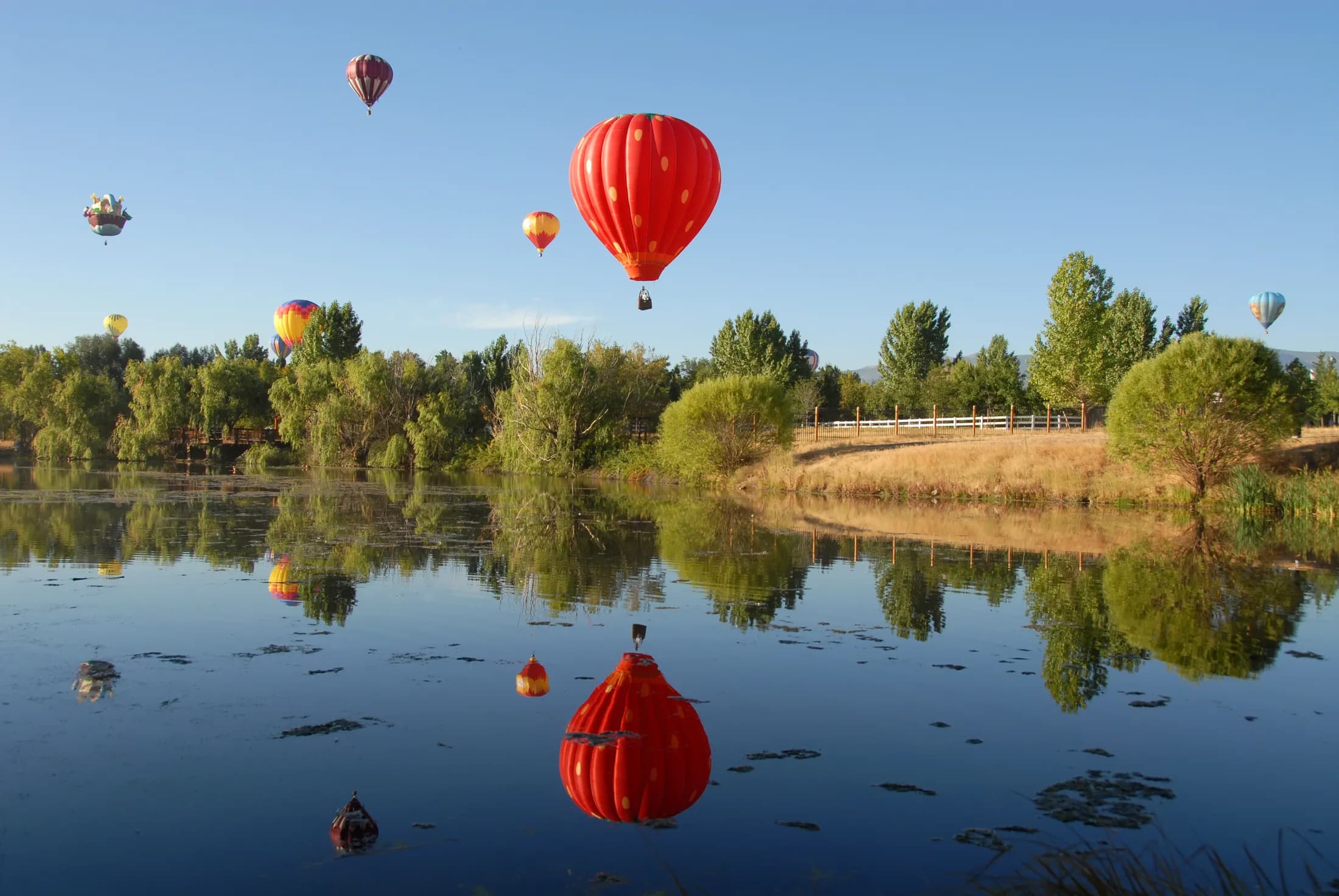 Hot air balloons rising over a still lake in Reno, reflected in the water